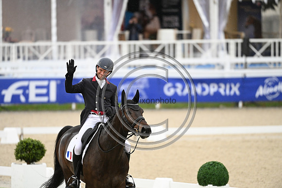 Mondial du Lion