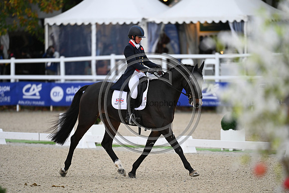 Mondial du Lion