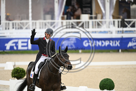Mondial du Lion