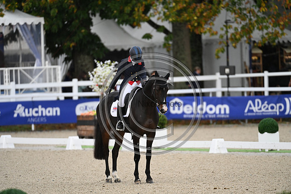 Mondial du Lion