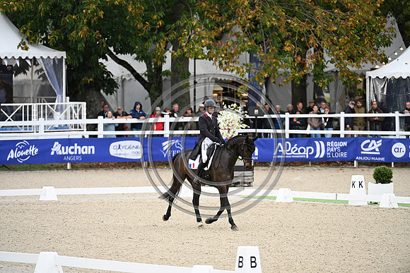Mondial du Lion