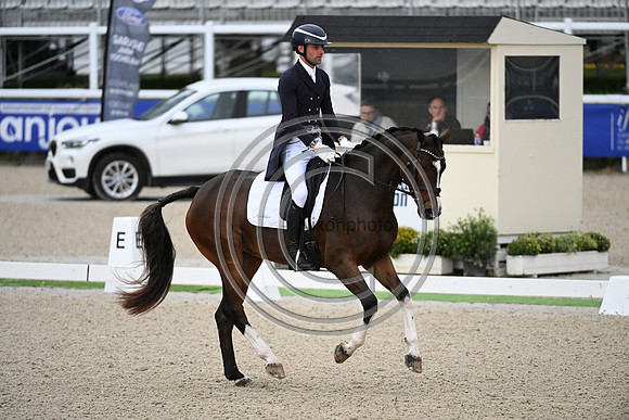 Mondial du Lion