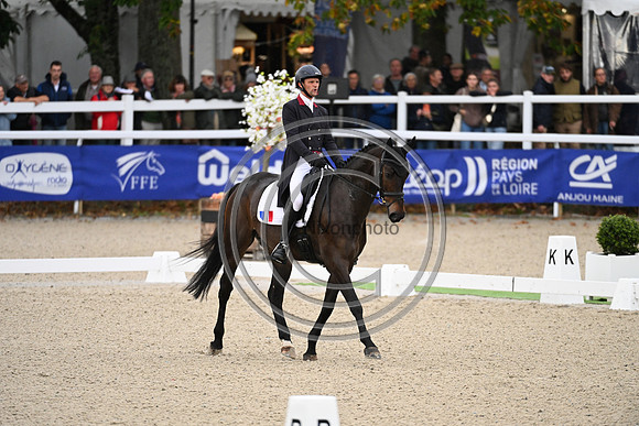 Mondial du Lion