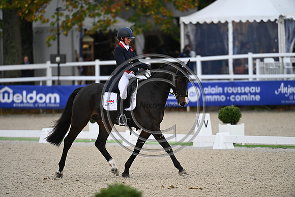 Mondial du Lion