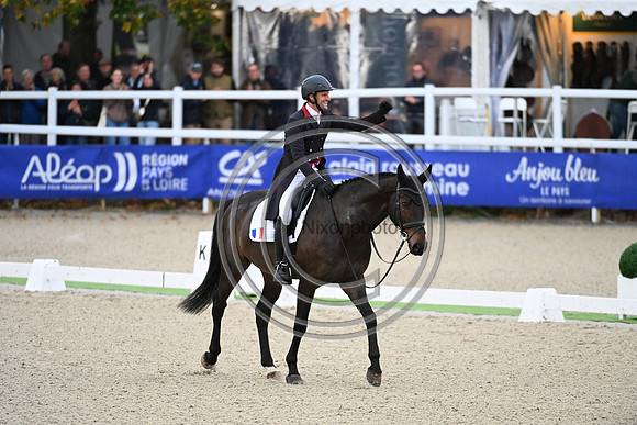 Mondial du Lion