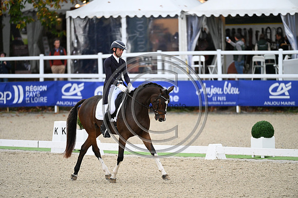 Mondial du Lion