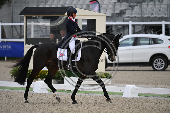Mondial du Lion