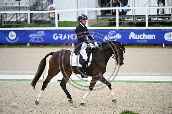 Mondial du Lion