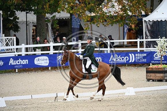Mondial du Lion