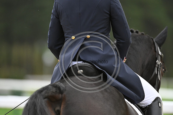 Mondial du Lion