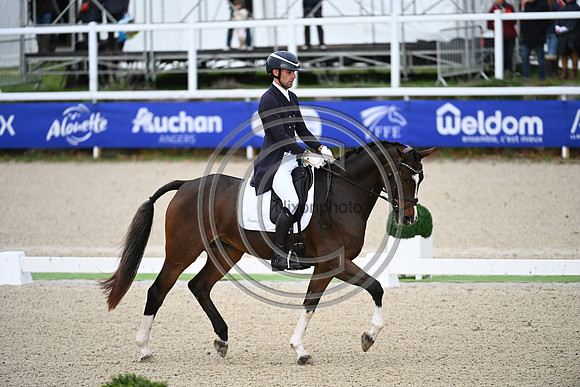 Mondial du Lion