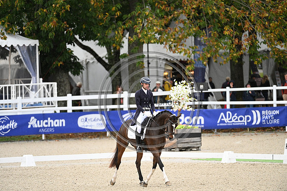 Mondial du Lion