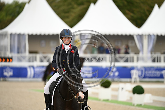 Mondial du Lion