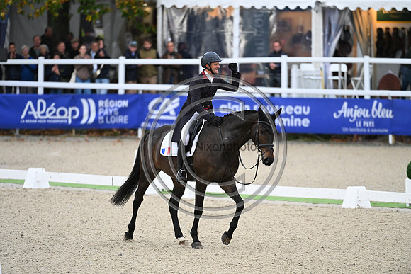 Mondial du Lion