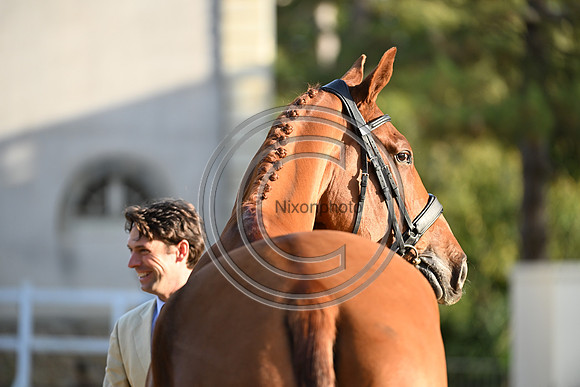 Mondial du Lion