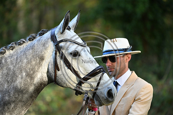 Mondial du Lion