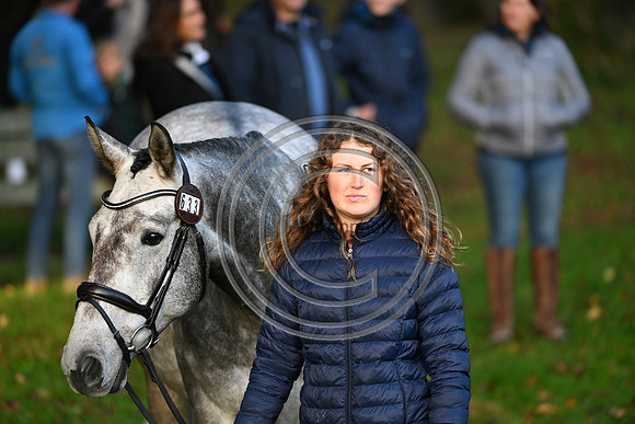Mondial du Lion