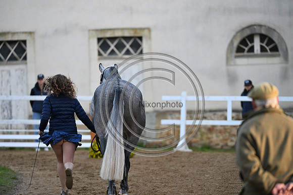 Mondial du Lion
