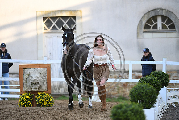 Mondial du Lion