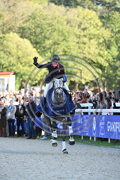 Mondial du Lion