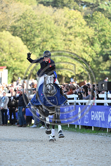 Mondial du Lion