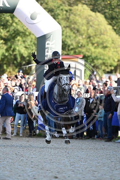Mondial du Lion
