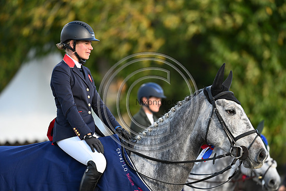 Mondial du Lion
