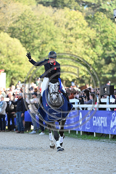 Mondial du Lion