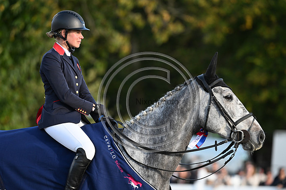 Mondial du Lion