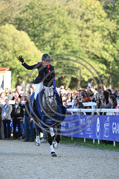 Mondial du Lion