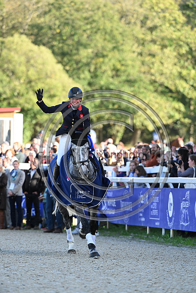 Mondial du Lion