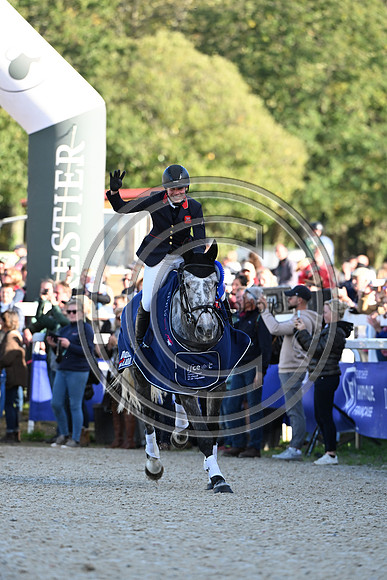 Mondial du Lion