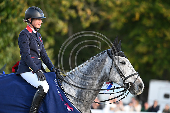 Mondial du Lion