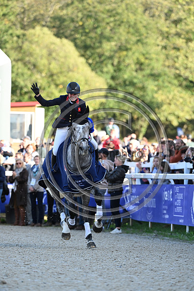 Mondial du Lion