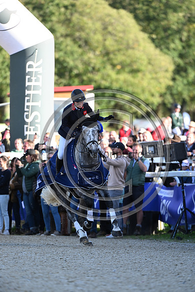 Mondial du Lion