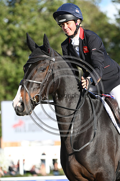 Mondial du Lion
