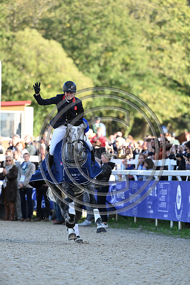 Mondial du Lion