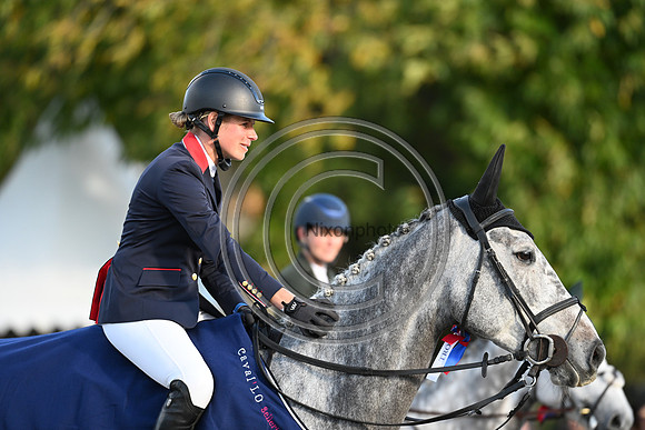 Mondial du Lion