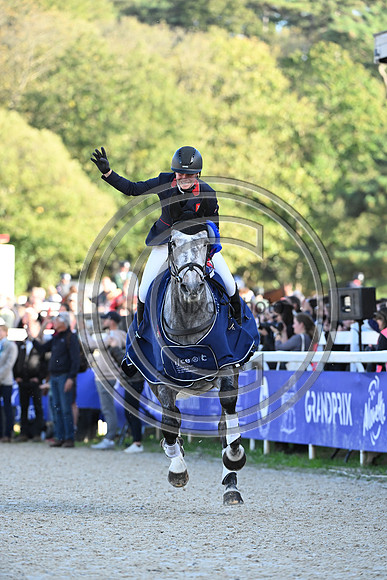 Mondial du Lion