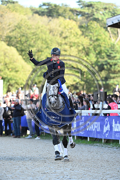 Mondial du Lion
