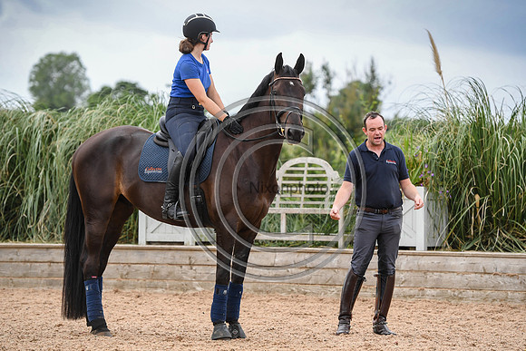 Collective Equestrian