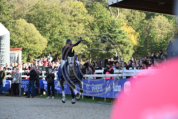 Mondial du Lion