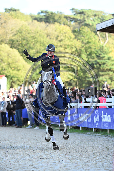 Mondial du Lion