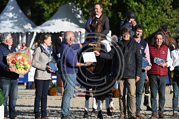 Mondial du Lion