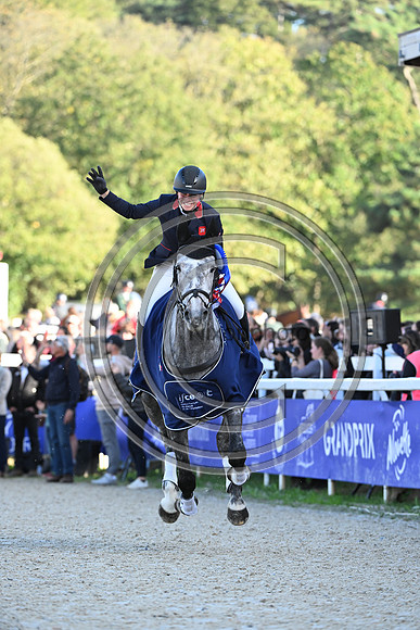Mondial du Lion