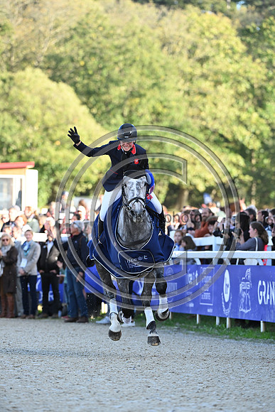 Mondial du Lion