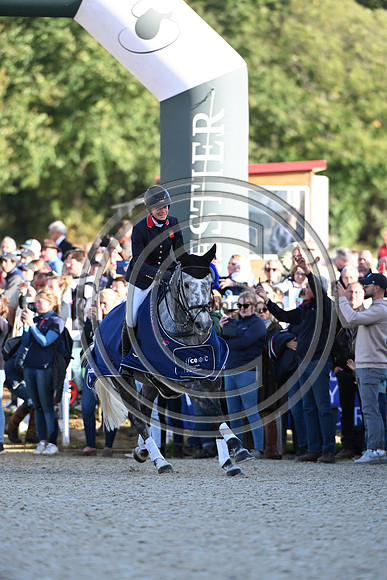 Mondial du Lion