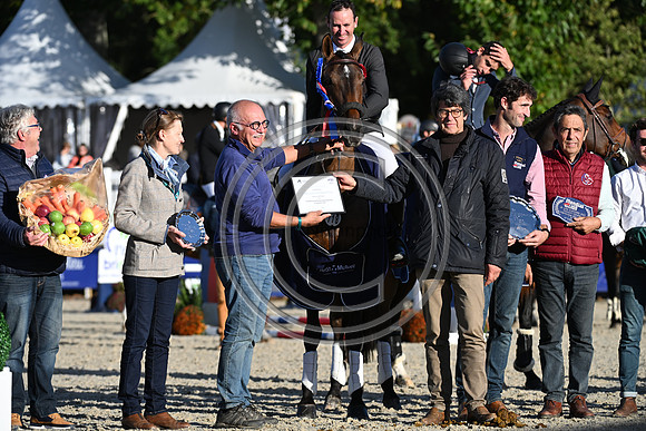 Mondial du Lion
