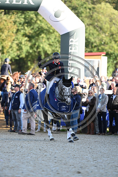 Mondial du Lion