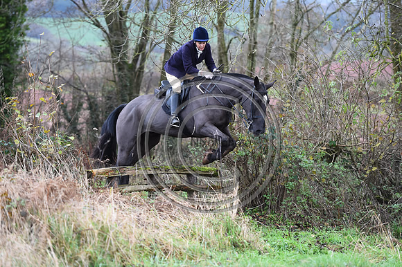 Ludlow_Hunting_15